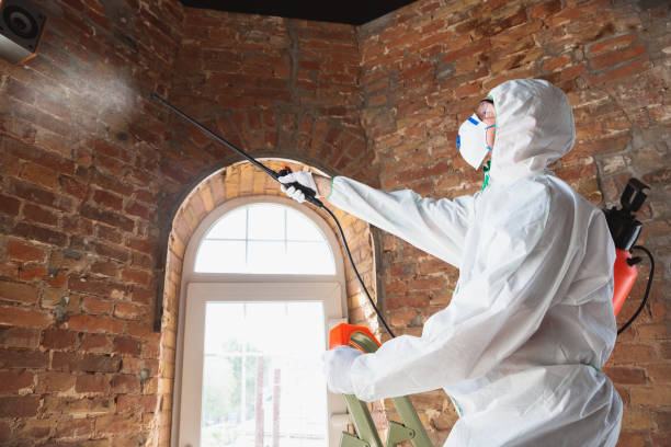 Mold Odor Removal Services in Marshallton, PA